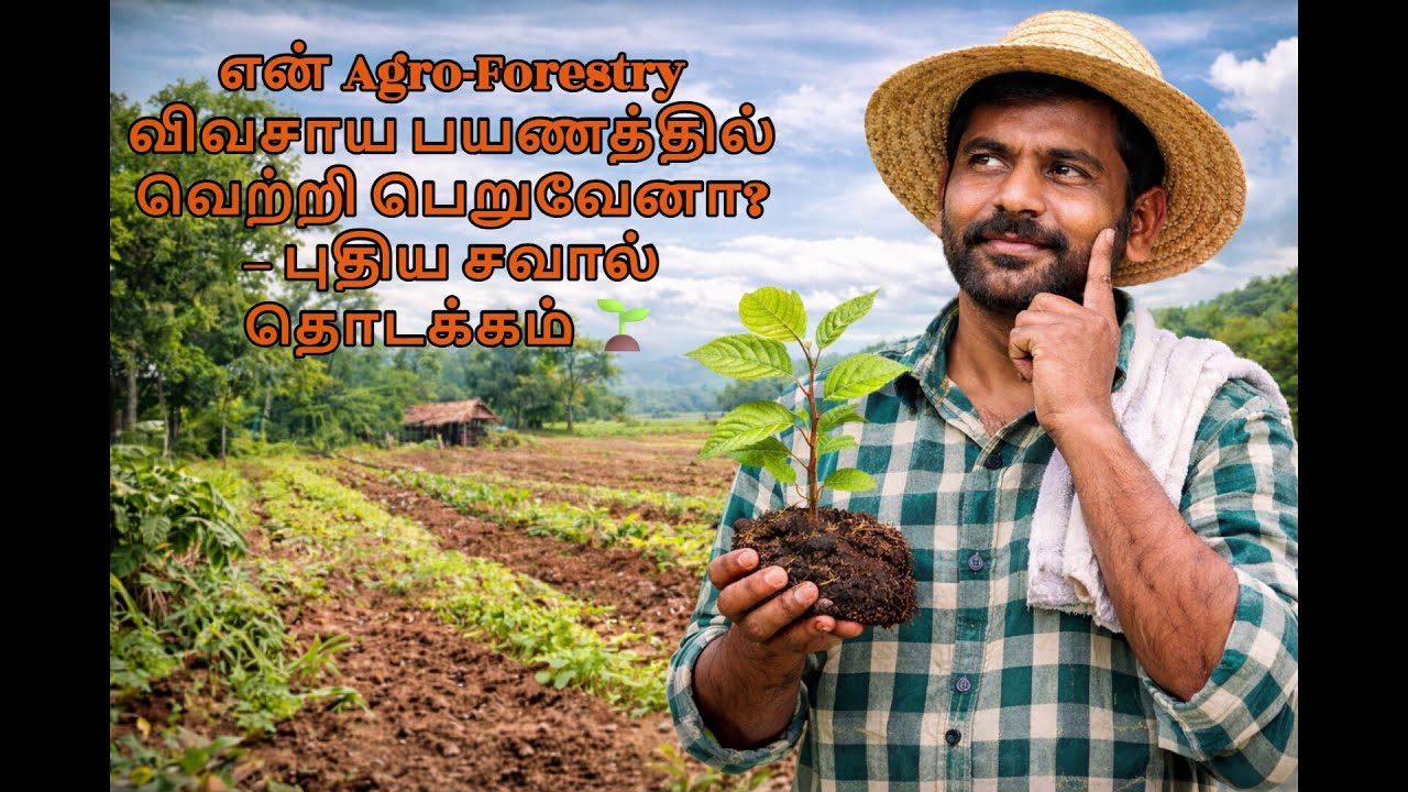 என் Agro-Forestry விவசாய பயணத்தில் வெற்றி பெறுவேனா? – புதிய சவால் தொடக்கம் 🌱 #farming#viral #yt