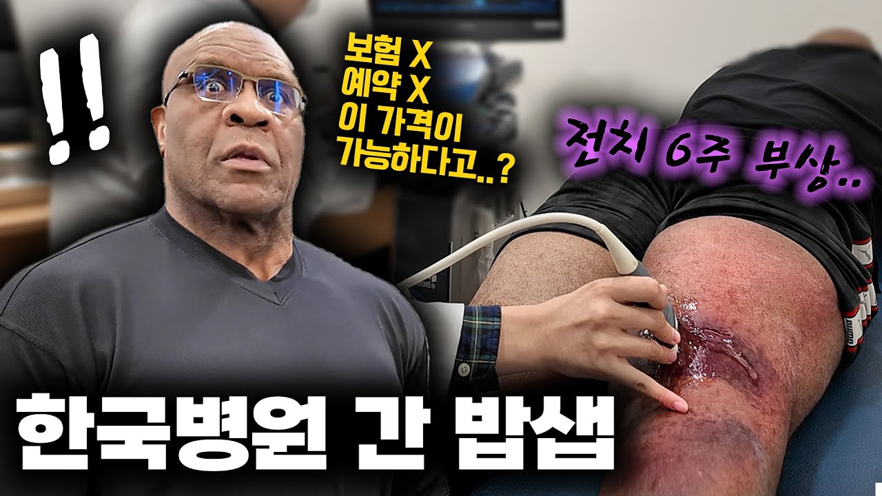 전치 6주 부상 입은 파이터 밥샙이 한국병원 가자  보인 반응