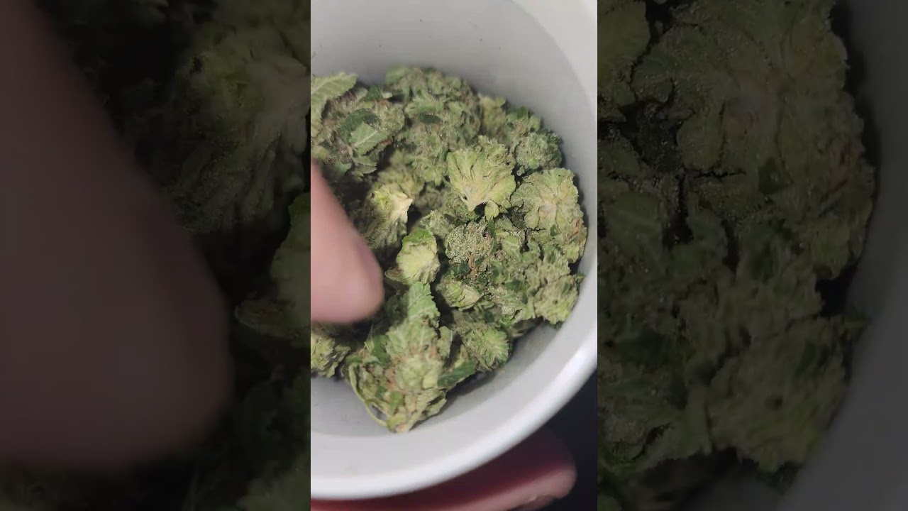 HeadCracjer - Tres Dawg IX x Tres OG] is a relaxing indica dominant strain