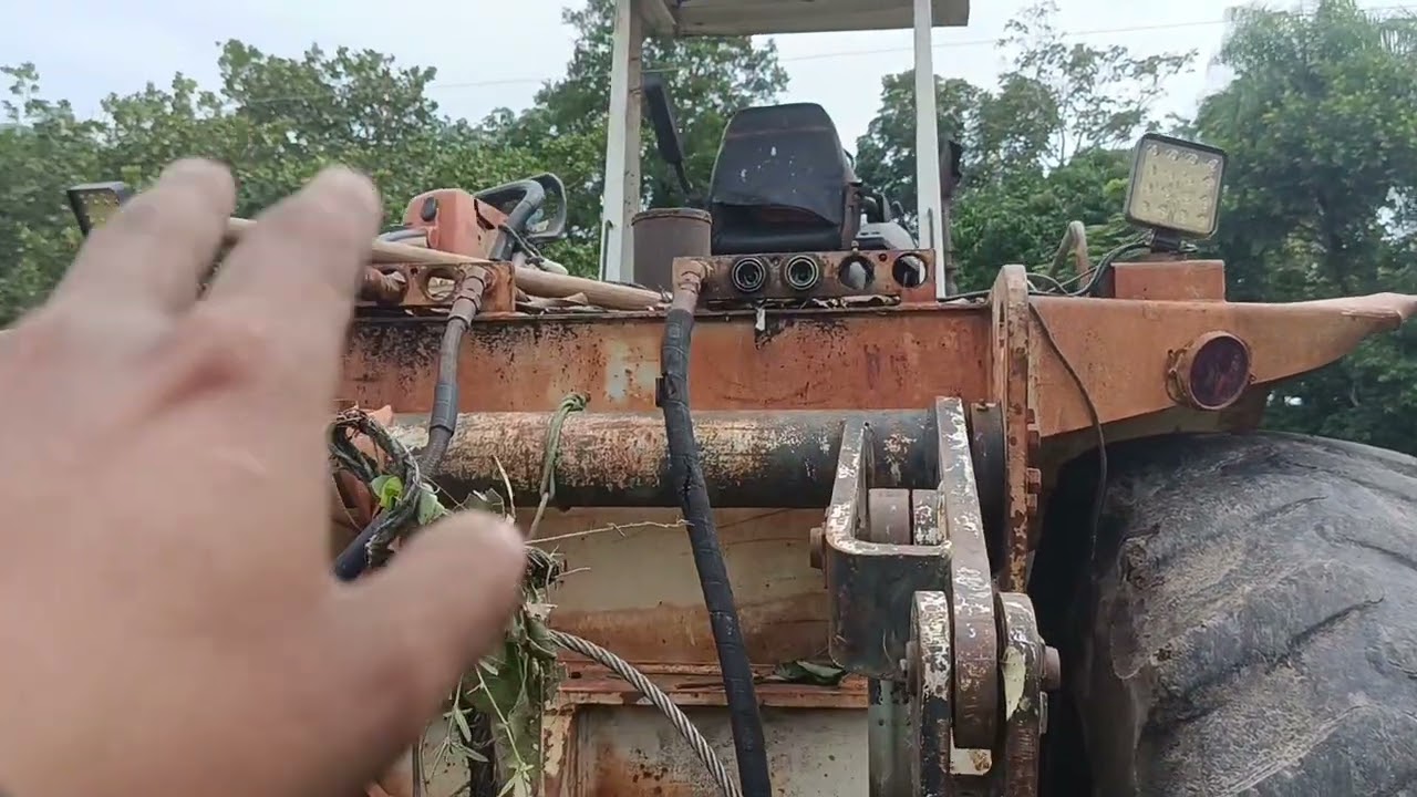  Milla veio bora pra cima 