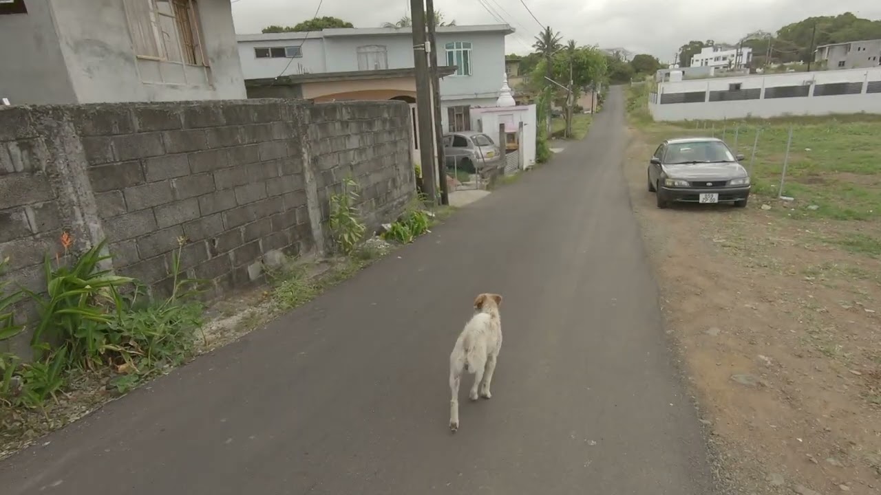 Village Plaine Magnien Mauritius