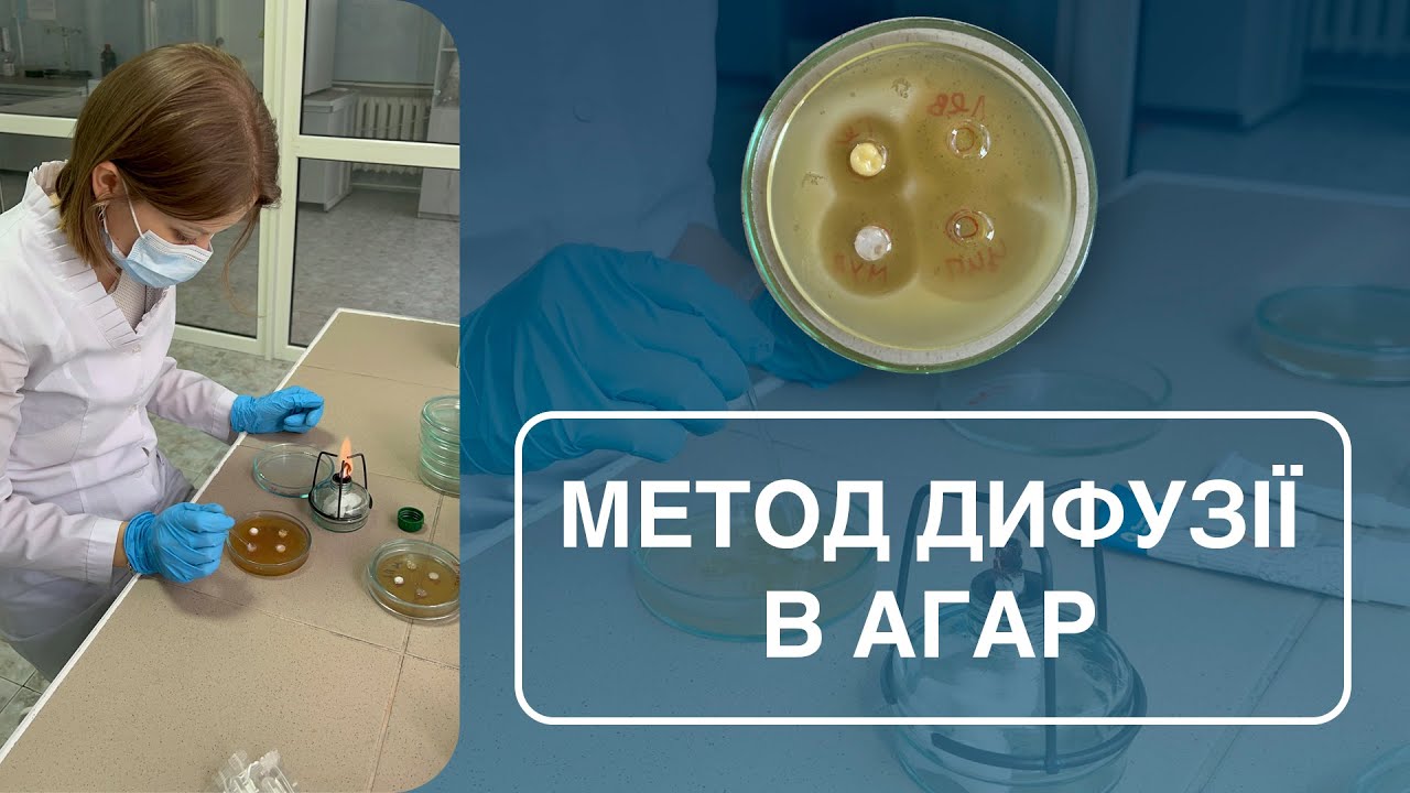 Вивчення антимікробної дії м'яких лікарських форм