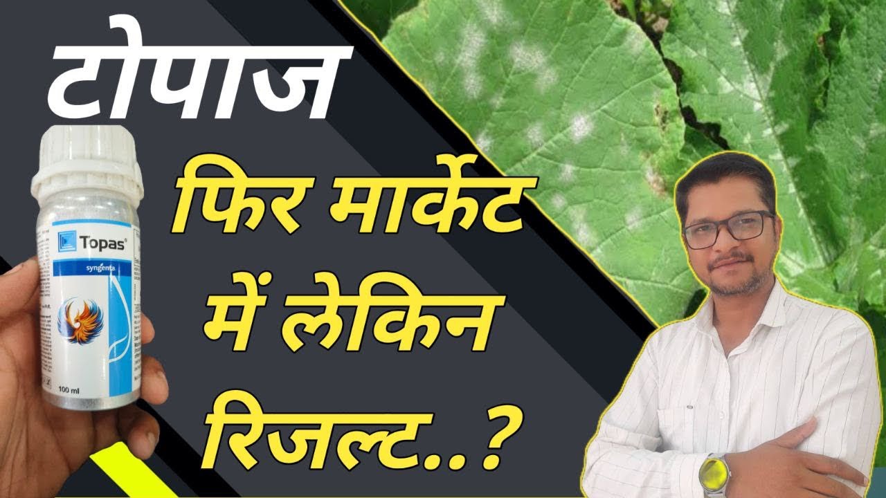 Topas फंजीसाईड फिरसे आ गया लेकिन रिजल्ट का क्या ?