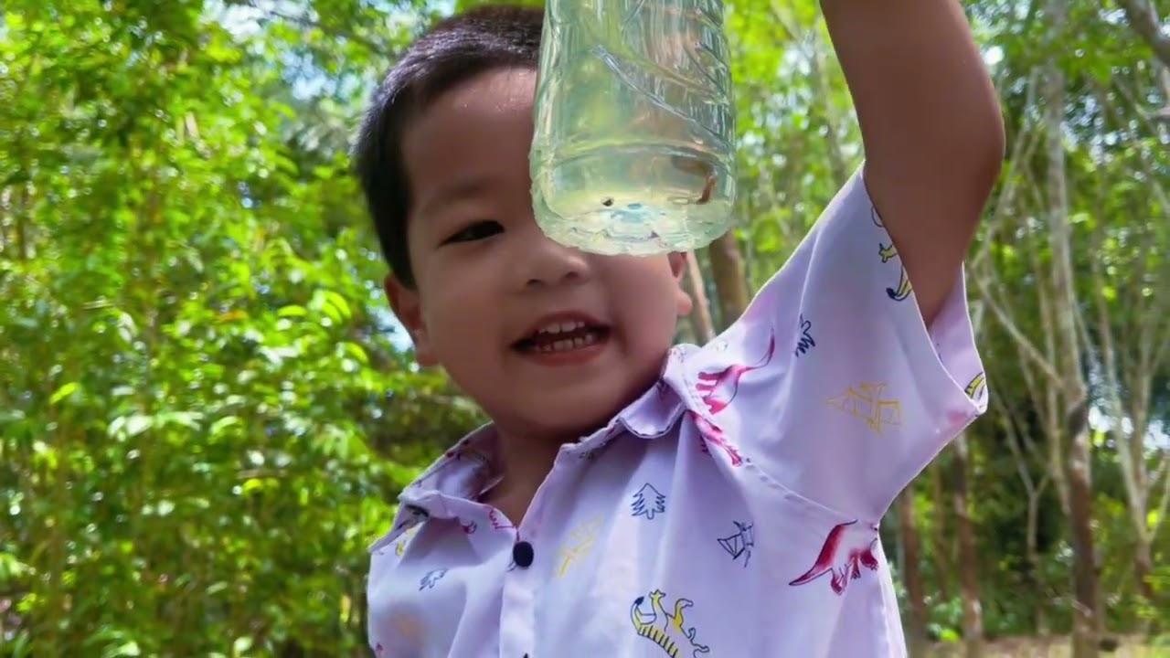 ปลากัด ไปหาปลากัดป่ากัน 