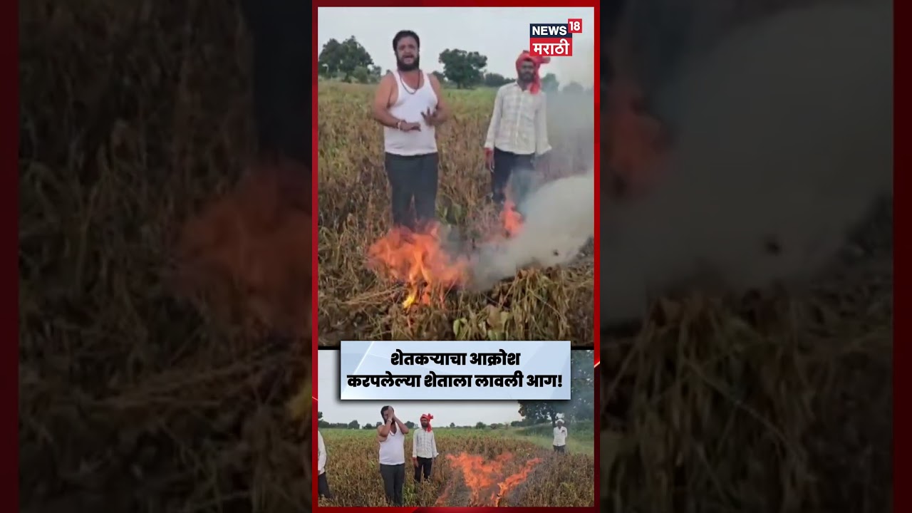 Nanded Drought News | Farmer's outcry, farmer sets fire to drought-hit field