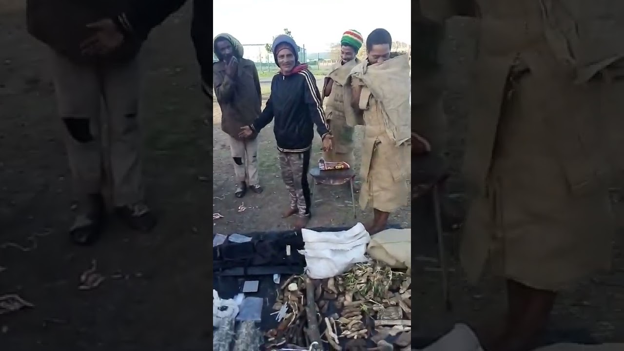 Is this How Rastamen live in South Africa, Cape Town? You will be shook