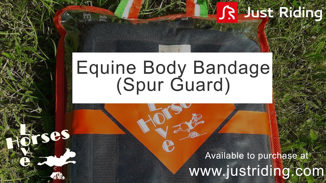Equine Body Bandage - Justriding.com