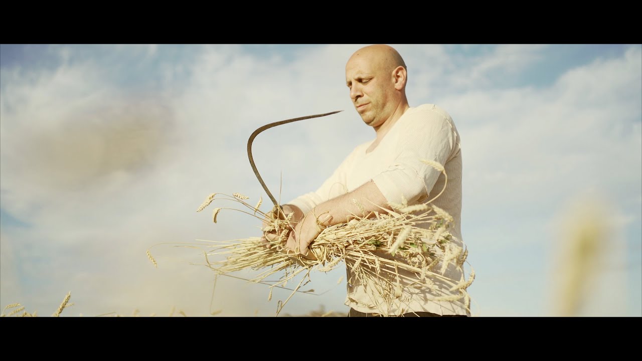 PANE E SAPERE  cortometraggio