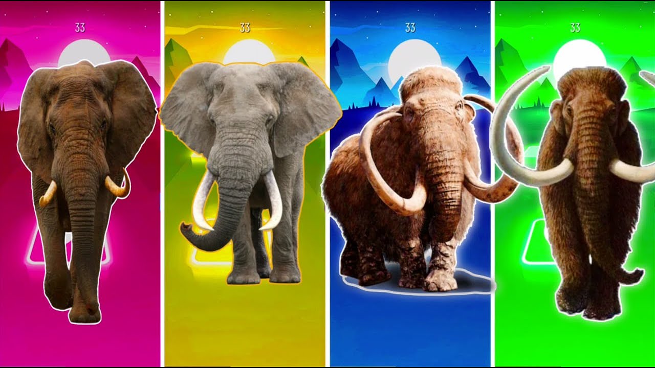Funny the Horse🐎 🆚Funny Elephant h 🆚Funny Cow🐄 Funny Bull🦏Tiles Hop EDM Rush #tileshop​ #coffindance