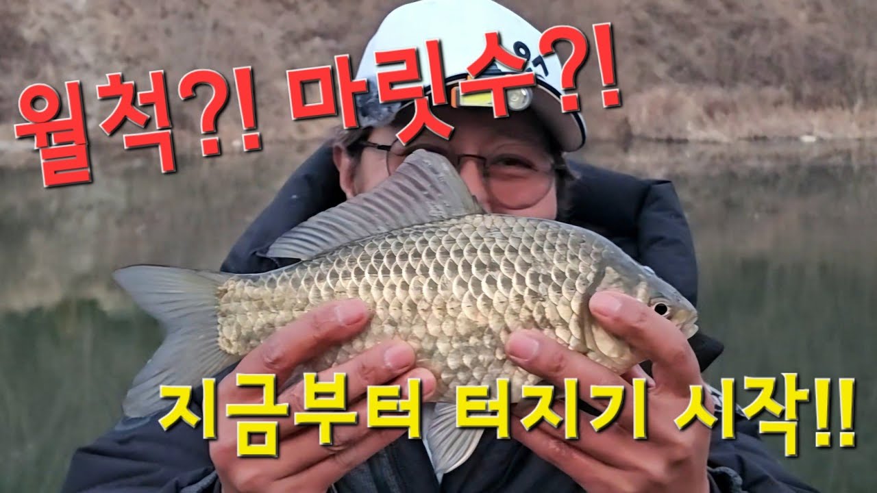 초대박!! 짬낚에 월척?! 마릿수?! 미친 활성도 붕어낚시!!