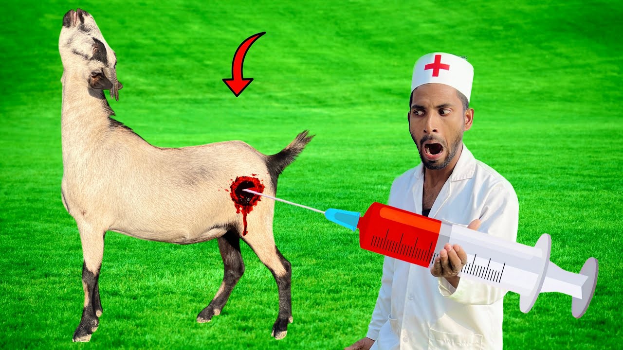 Top New Funniest Fun Comedy Video 2025 Amazing Injection Wala Trending Comedy Video | Doctor E-142