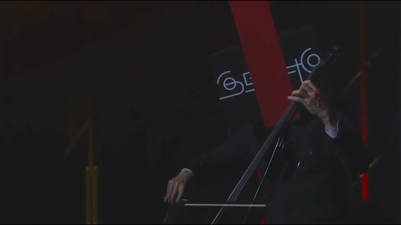 平沢進 (Susumu Hirasawa)＋会人 (EJIN) — 高貴な城 (High-Minded Castle) (24曼荼羅 Ver.)