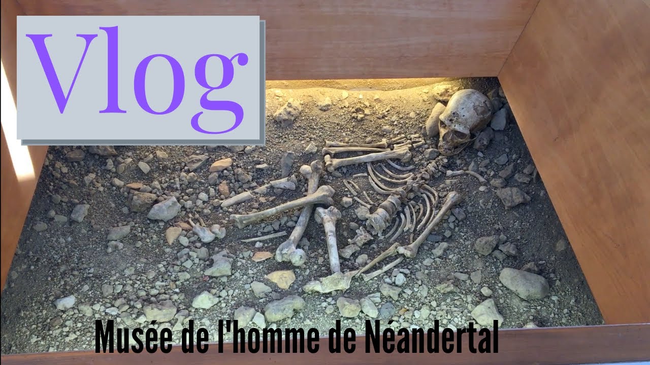 Vlog Préhistoire - Musée De l'Homme De Néandertal - 1/4