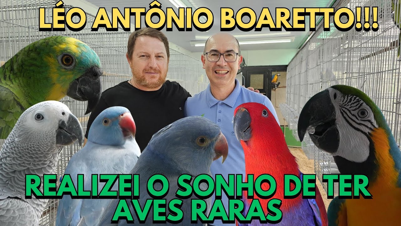 BOARETTO CHEIO DE PSITACÍDEOS DE VALOR AGREGADO!!!
