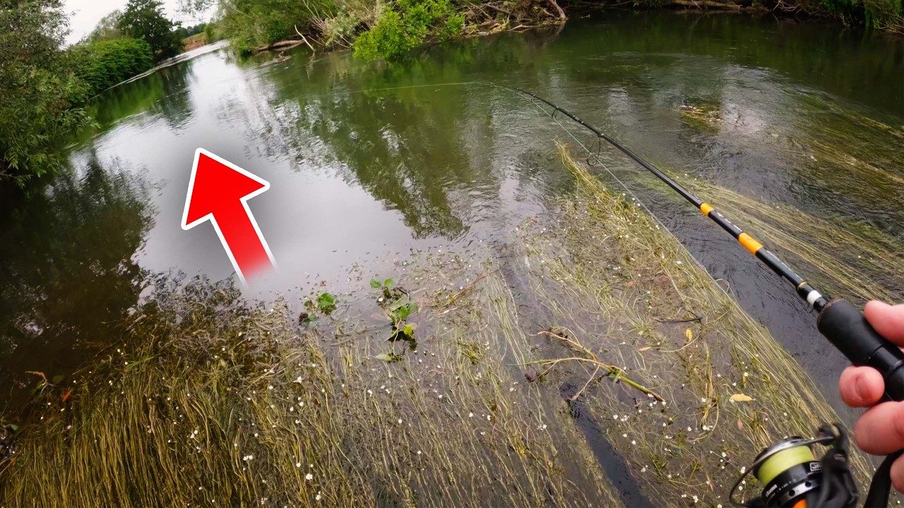 Small River SPINNING - Biggest Of The Year!