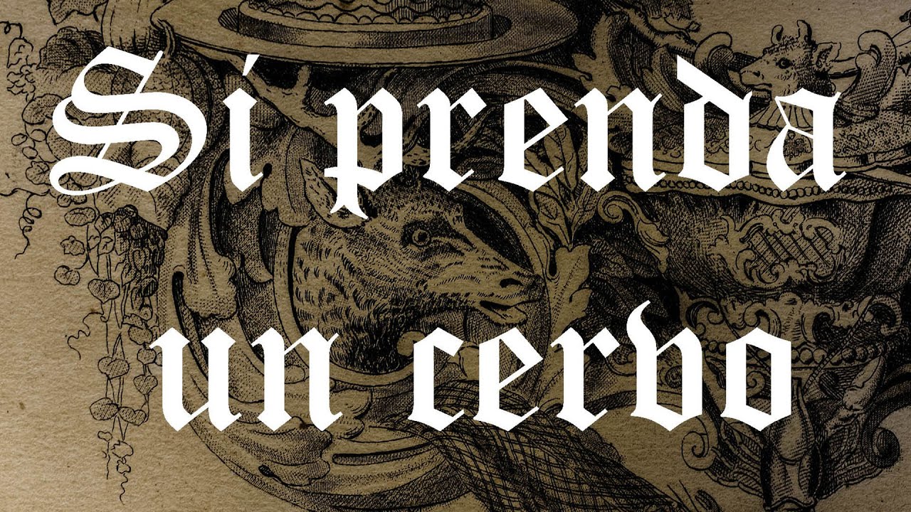 Si prenda un cervo