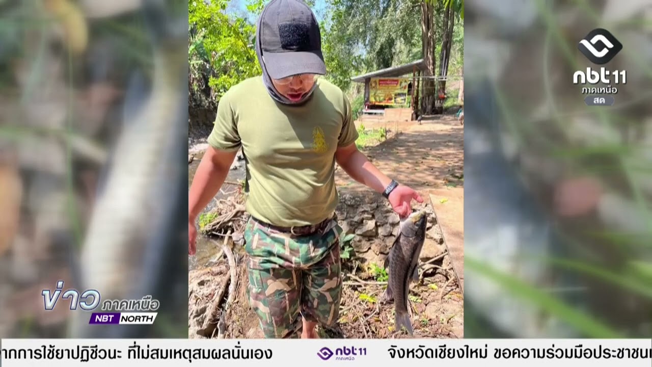 ข่าวภาคเหนือ   12 มีนาคม 2569 แม่ฮ่องสอน   เร่งตรวจสอบสาเหตุปลาตายบริเวณแม่น้ำลาง