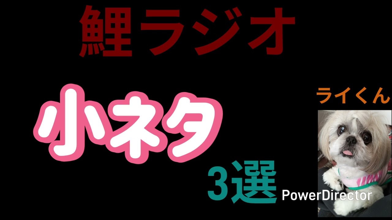 ＠鯉ラジオ 自動ドア　エレベーター　ドラム缶