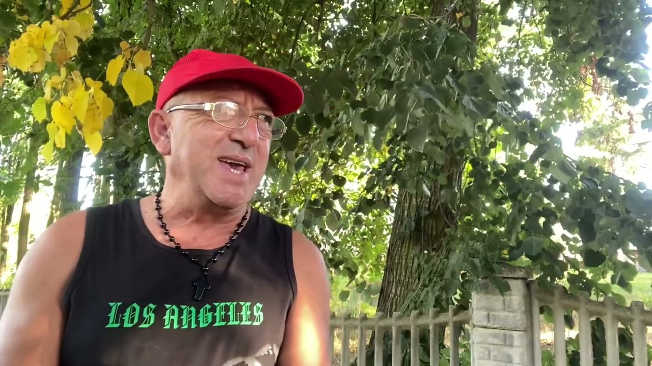 Mama lui Stelică ( Goicoanea ) , a luat-o rău Brăila ! Aberează în continuare ! 