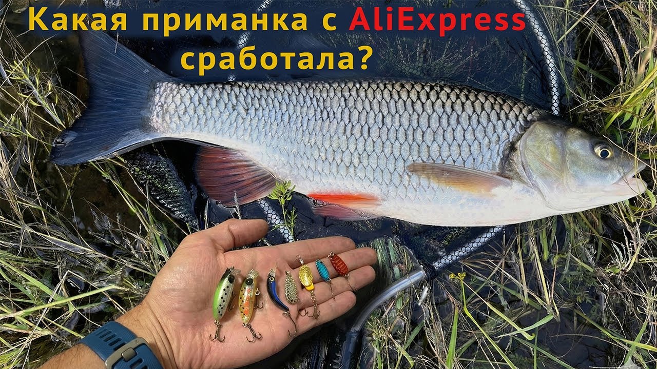 Тест приманок с AliExpress — что реально работает на реке?
