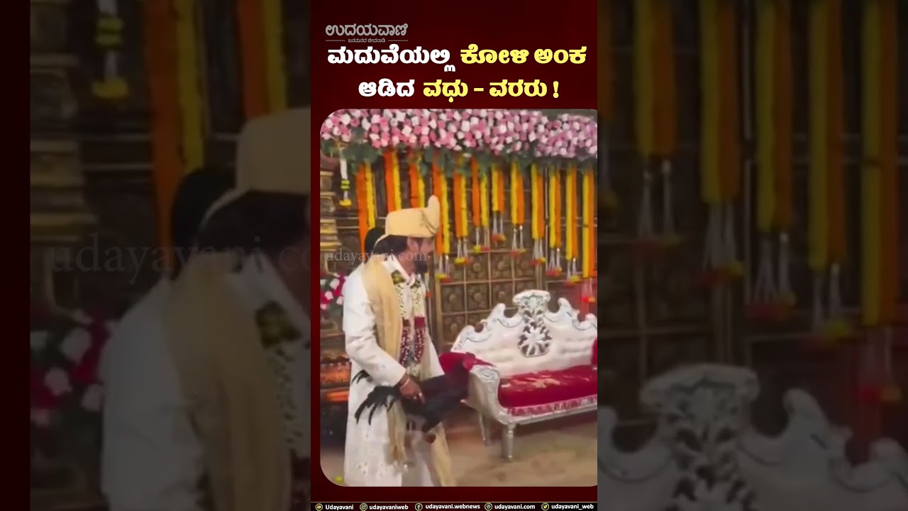 Viral Video : ಉಡುಪಿ | ಮದುವೆ ಮಂಟಪದಲ್ಲೆ ನಡೆಯಿತು ಭರ್ಜರಿ ಕೋಳಿ ಅಂಕ ! | Udayavani