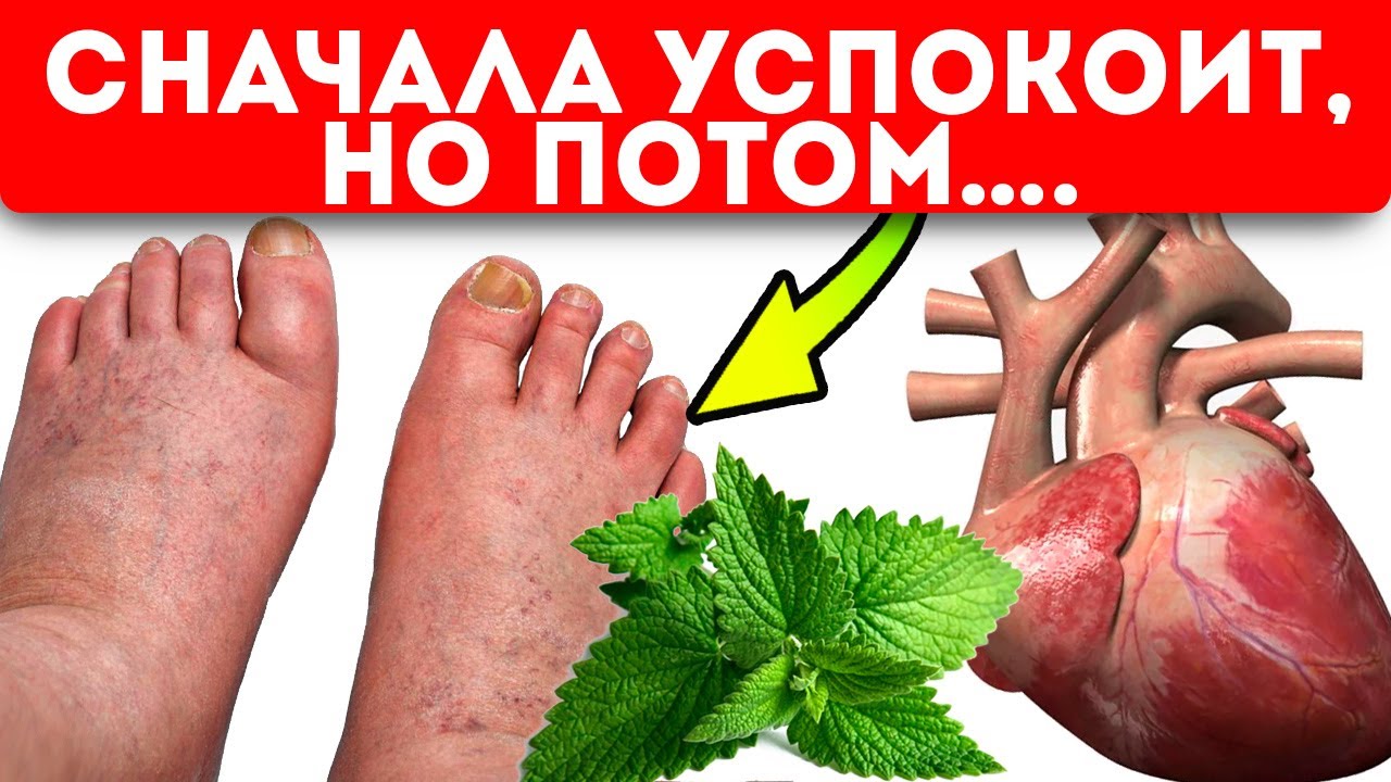 Даже слабый мятный чай выскребает из организма 100 болезней: сердце, желудок &hellip;.