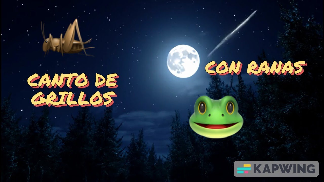 M&uacute;sica para dormir canto de grillos y ranas. Music to sleep with the singing of crickets and frogs.