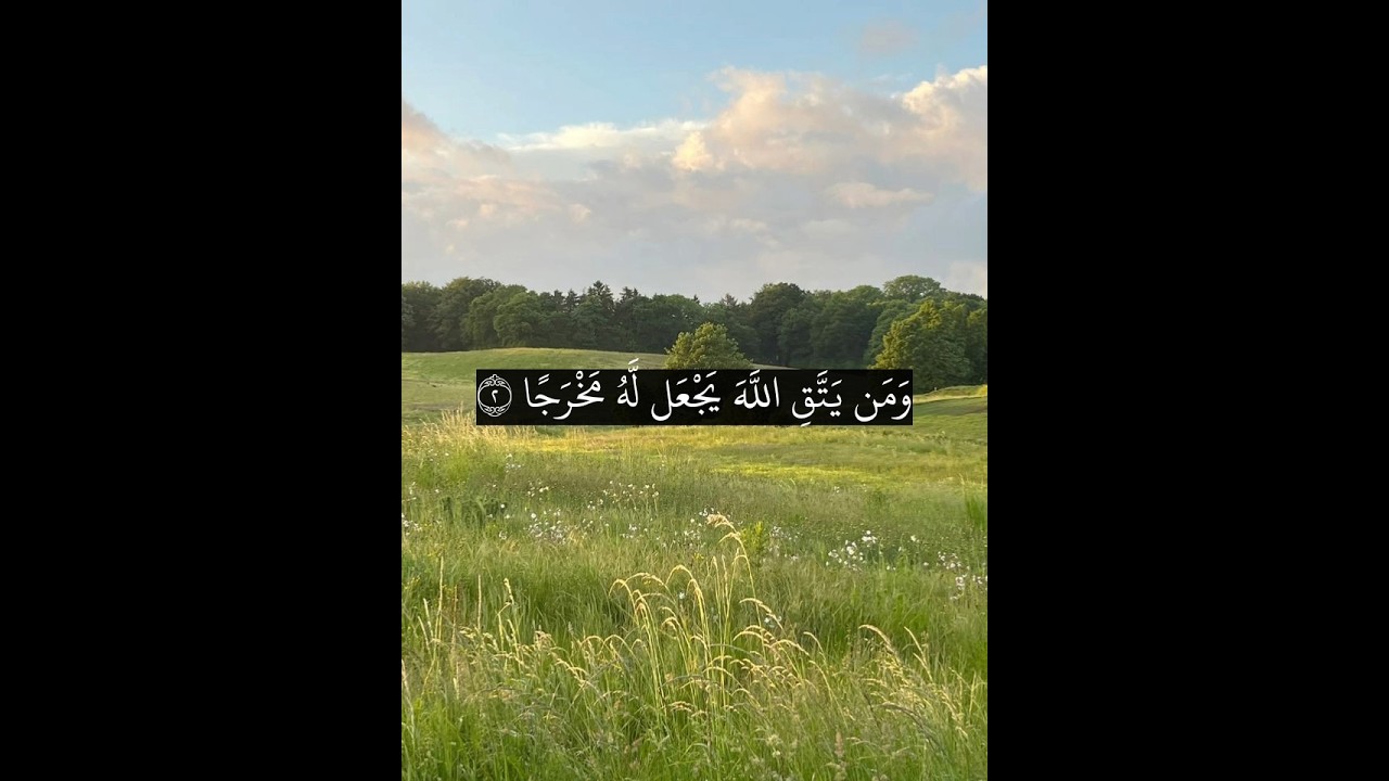 ومن يتق الله يجعل له مخرجا ويرزقك من حيث لا يحتسب. ماتيسر من سورة الطلاق بصوت الشيخ سعد الغامدي.
