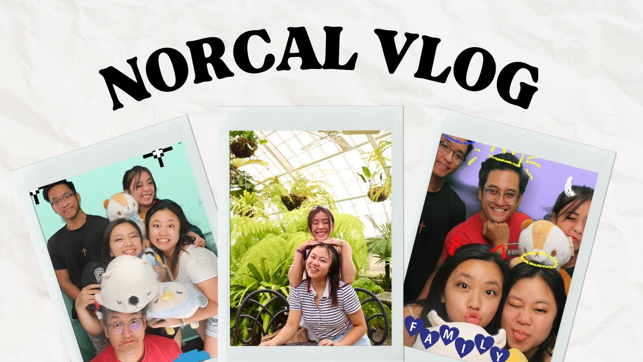 CHILL NORCAL Vlog | Exploring SF for the weekend