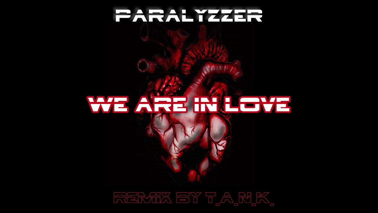 PARALYZZER - We are in love (Remix by T.A.N.K.)