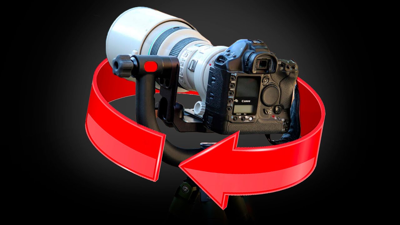 Cette tête pendulaire est géniale pour la photo animalière (Jobu Design HD4)