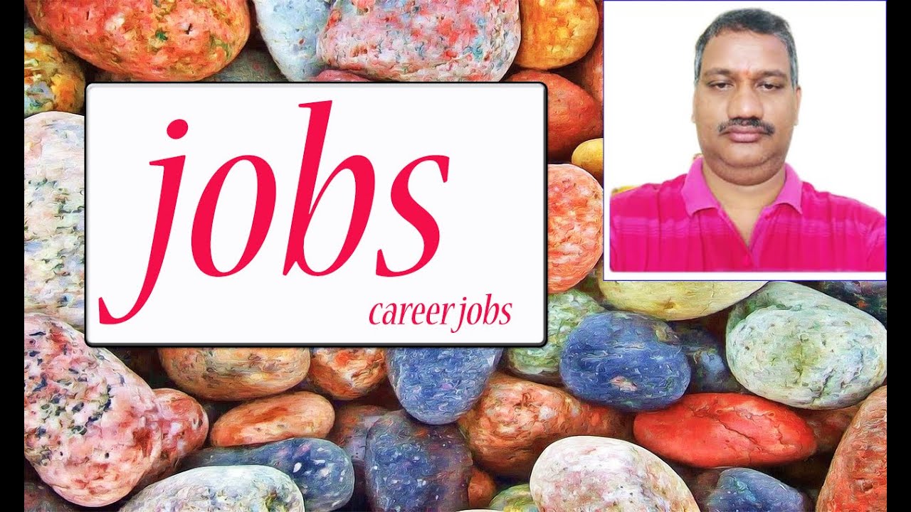 bajaj electronics jobs  current opportunities for freshers and experience