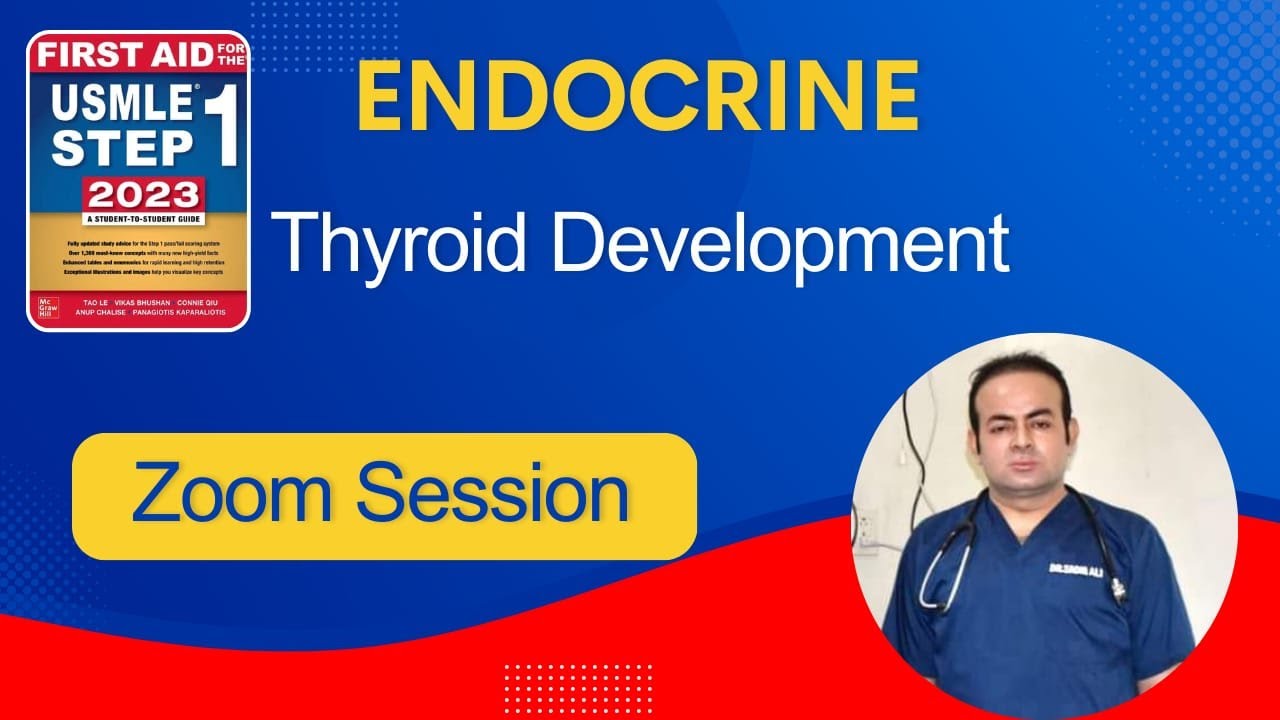 Endocrine  Thyroid Development
