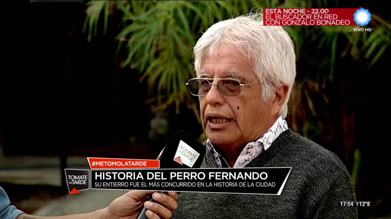 Móvil Historia del perro Fernando  en Tomate la Tarde (2 de 2)