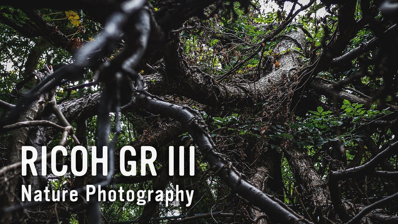 RICOH GR III (GR3) - Nature Photography 📸