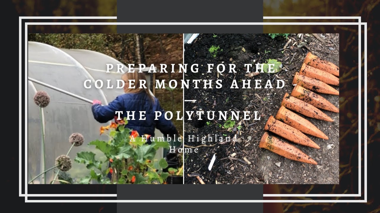 Preparing For The Colder Months Ahead  In The Polytunnel | FULL VIDEO | Garlic | Planning Ahead