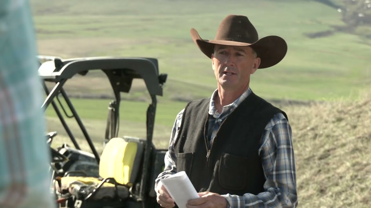 Ranchers from Argentina Look to Montana to Improve Cattle Herds