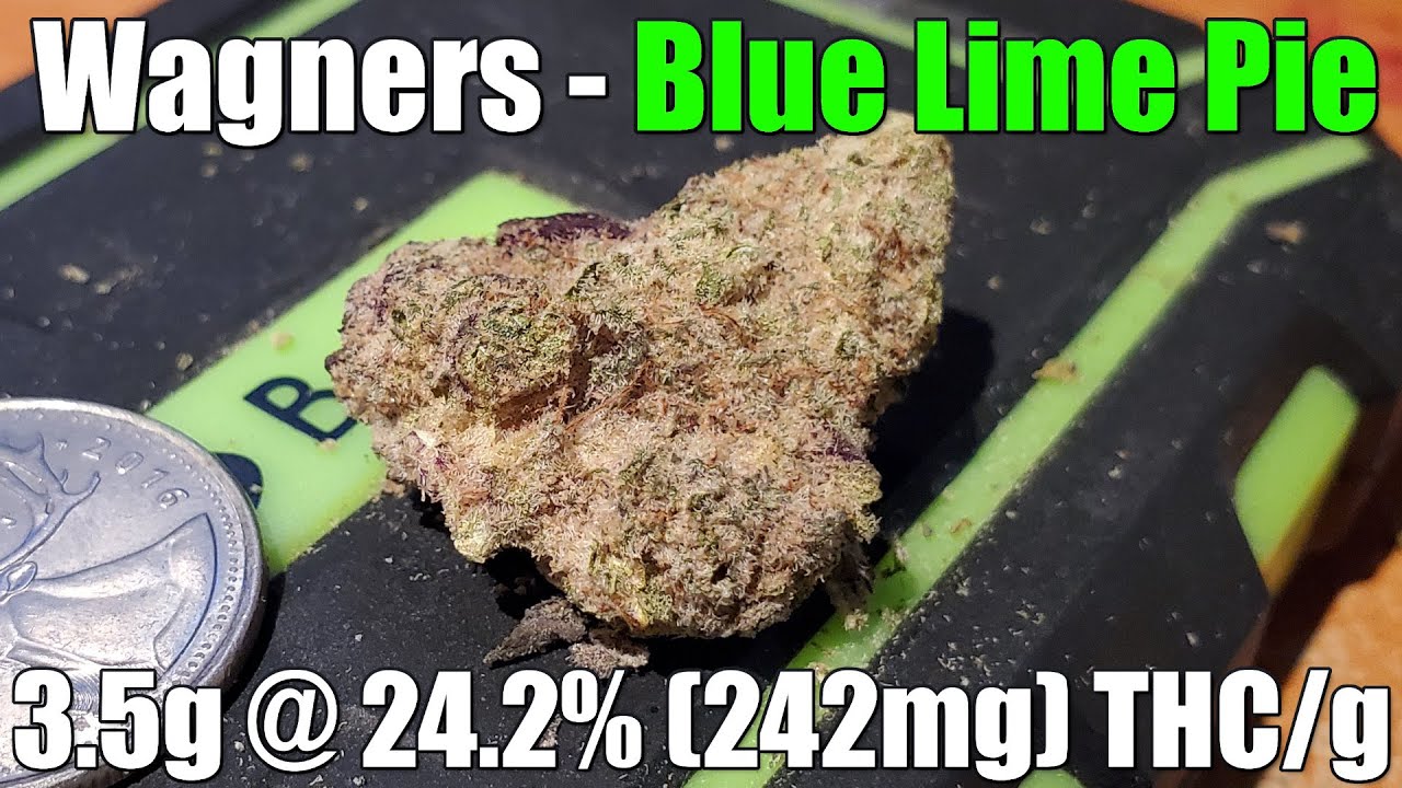 Wagners - Blue Lime Pie - Unboxing Review - 3.5g @ 24.2% (242mg) THC/g (+Extreme Closeups)