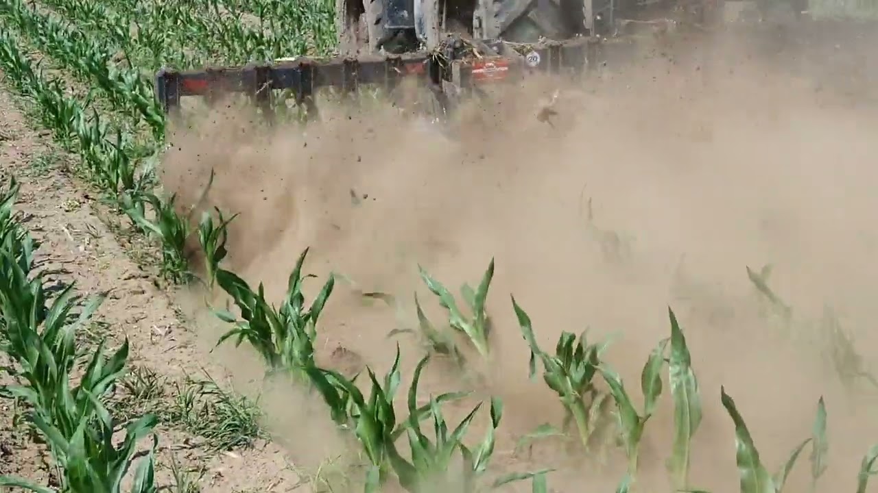 Mechaniczne zwalczanie chwastów. Brona gwiazdowa BRN-6 Technopol Agro