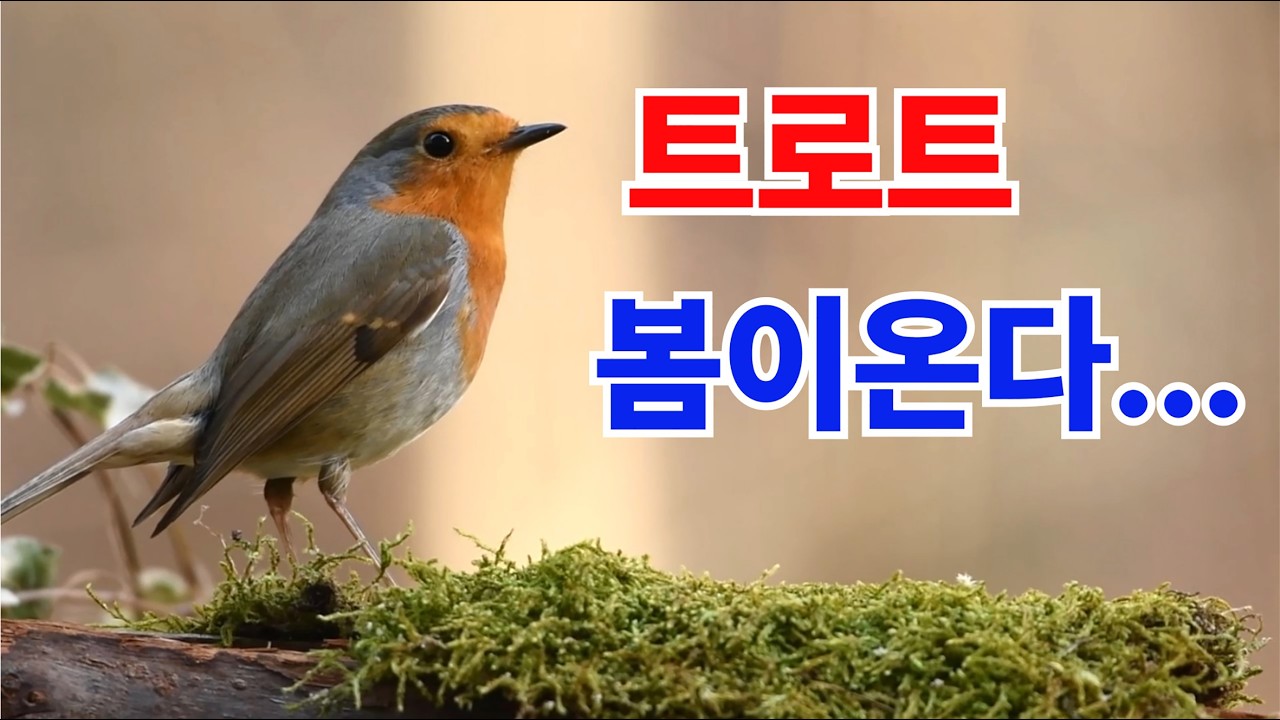 🎵 곡 제목: 봄날의 약속  더존-스튜디오