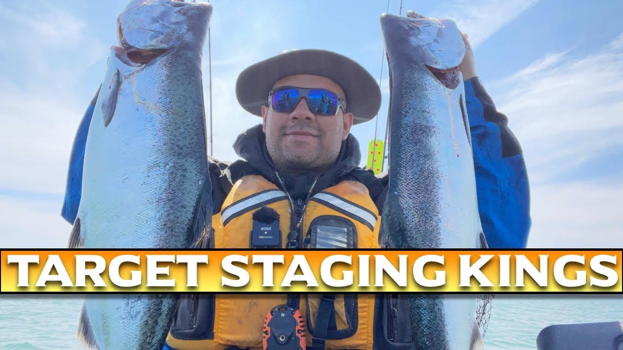 3 Must Have Lures To Target Staging King Salmon on Lake Michigan