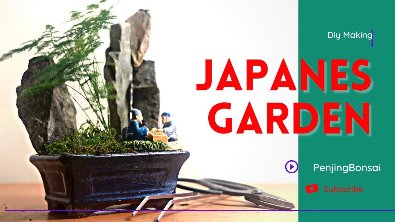 How to make Penjing  Asparagus Fern Bonsai - A Step-By-Step Tutorial