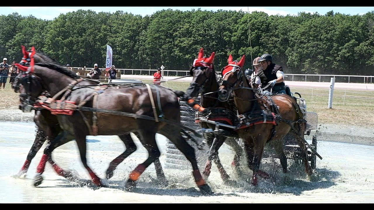 Cholet Attelage -  Concours National 2022