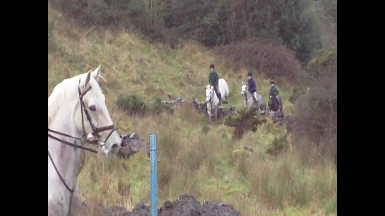 multy dec09.wmv