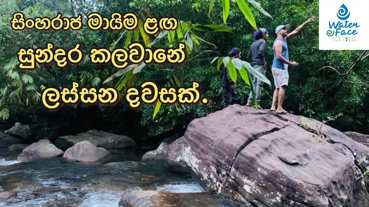Night out එකකට නිදහසේ ඉන්න හොඳම තැනක් මෙච්චර අඩුවට? | Waterface Bungalow | Kalawana | FB 5500/-