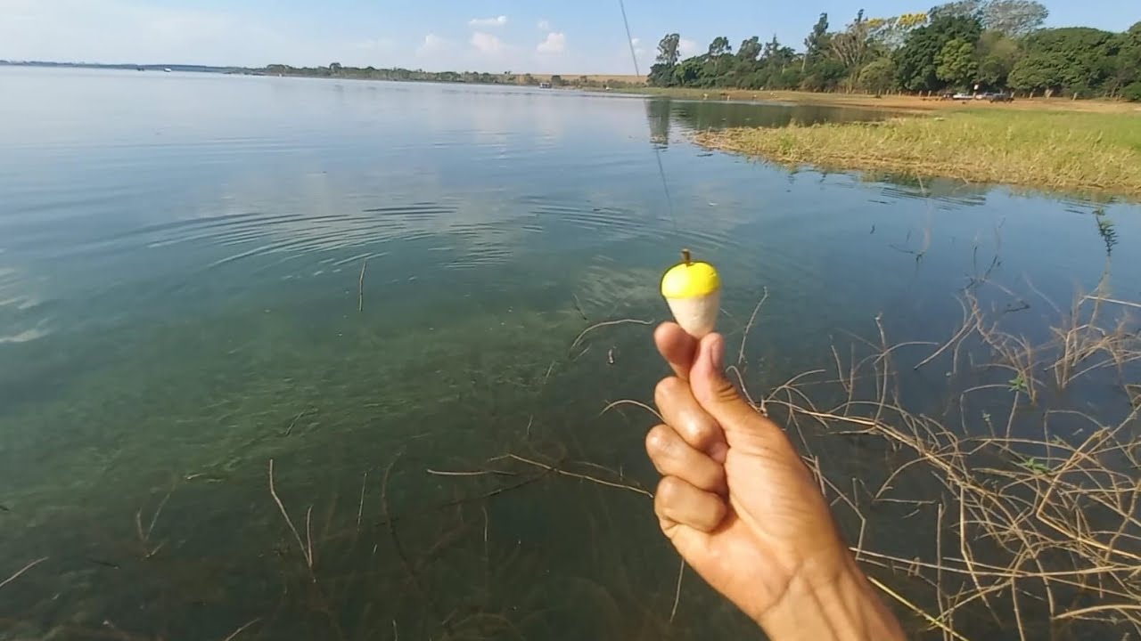 falta isca pra tanto peixe é só jogar e puxar Tucunaré e Dourado na Pescaria Raiz