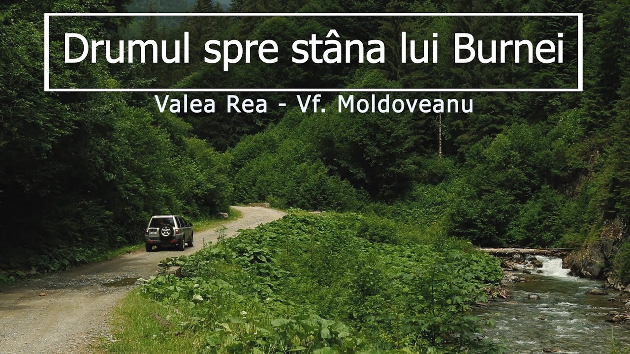 Drumul forestier spre Stâna lui Burnei | Nucșoara | Valea Rea | Vârful Moldoveanu