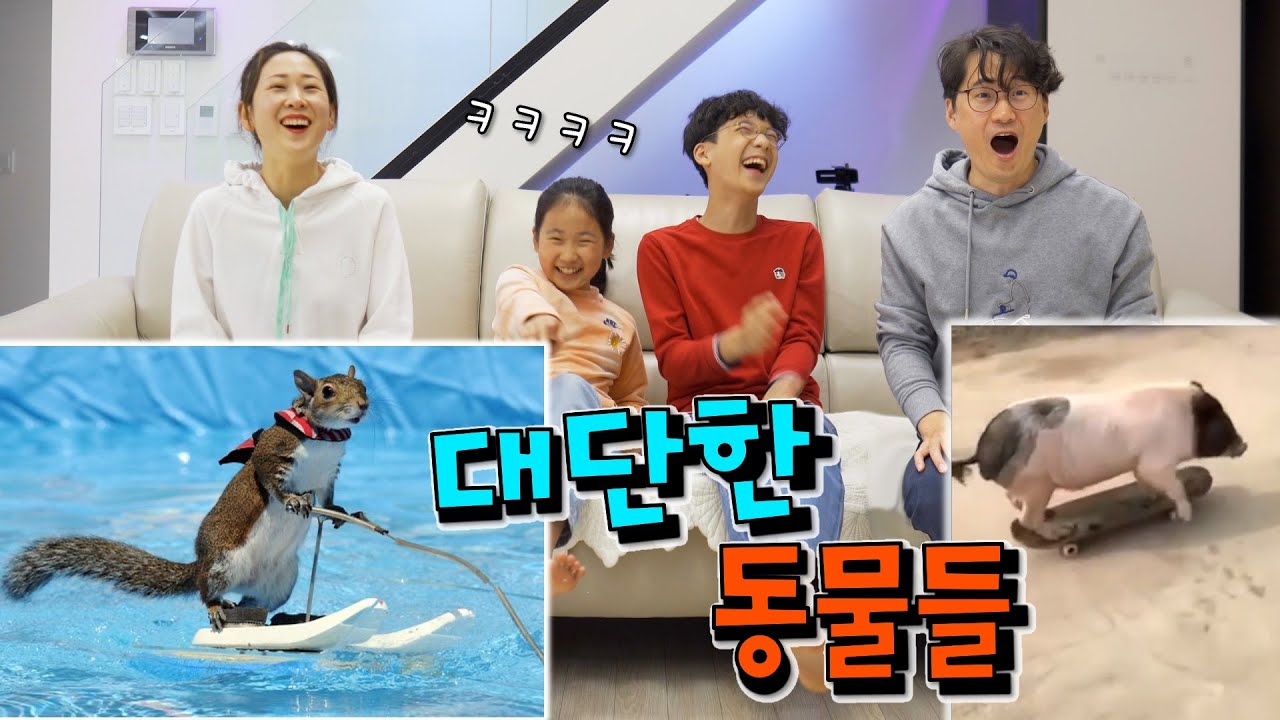 귀여운 동물들 장기자랑 ㅋㅋㅋ 실제로 보면 깜짝 놀란다는 레전드 동물들 !!