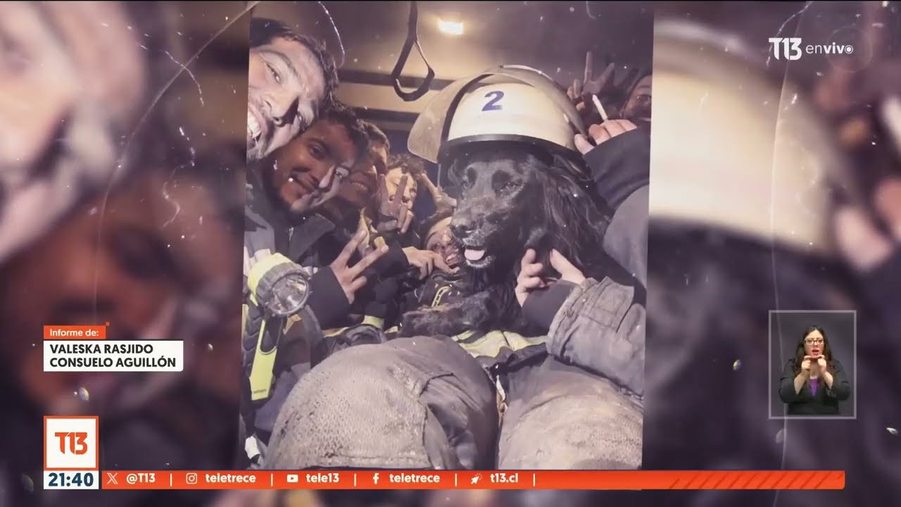 Bomberos tuvo que romper barrera de peaje en plena emergencia: concesionaria a cargo respondió