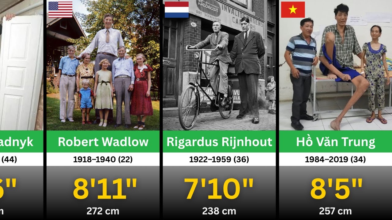 Tallest People in the World of All Time